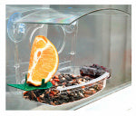 WOODLINK Mixed Treat Window Feeder PET & WILDLIFE SUPPLIES WOODLINK