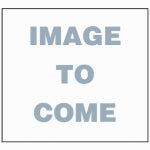 BARENBRUG USA Rapid Repair Pod Grass Seed, 1 oz. Pod, 15-Ct.