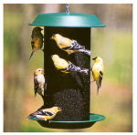 WOODLINK Magnum Nyjer Thistle Magnum Feeder, 5-Lb. PET & WILDLIFE SUPPLIES WOODLINK