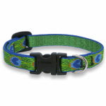 LUPINE INC Dog Collar, Adjustable, Tail Feather, 3/4 x 9 to 14-In.