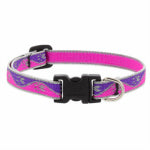 LUPINE INC Adjustable Puppy & Small Dog Collar, Reflective Pink Paws Pattern, 1/2 x 10 - 16-In. PET & WILDLIFE SUPPLIES LUPINE INC