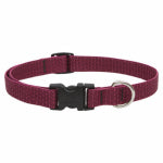 LUPINE INC Eco Dog Collar, Adjustable, Berry, 3/4 x 13 to 22-In. PET & WILDLIFE SUPPLIES LUPINE INC