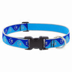 LUPINE INC Adjustable Medium Dog Collar, Reflective Blue Paws Pattern, 1 x 16 - 28-In.