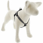 LUPINE INC Eco Step-In Dog Harness, Non-Restrictive, Granite, 3/4 x 20 to 30-In.