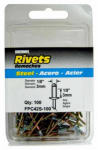FPC CORPORATION Short Steel Rivets, 100-Pack