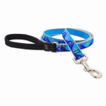 LUPINE INC Dog Leash, Reflective Blue Paws Pattern, 3/4-In. x 6-Ft.