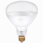 WESTINGHOUSE LIGHTING CORP Heat Lamp, Flood Beam, Dimmable, R40, Clear, 125-Watts ELECTRICAL WESTINGHOUSE LIGHTING CORP