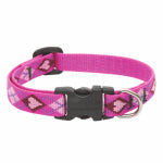 LUPINE INC Dog Collar, Adjustable, Puppy Love, 1/2 x 8 to 12 In.