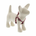 LUPINE INC Step In Small Dog Harness, El Paso Pattern, 1/2 x 12-18-In.