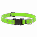 LUPINE INC Adjustable Medium Dog Collar, Reflective Green Diamond Pattern, 1 x 16 - 28-In.