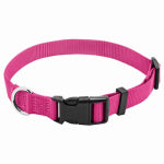 WESTMINSTER PET PRODUCTS IMP Pet Expert Adjustable Nylon Dog Collar, Pink, 3/4 x 14-20 In.