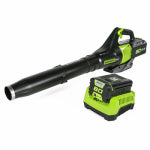 GREENWORKS TOOLS Cordless 80-Volt Axial Leaf Blower, 145-MPH/580 CFM, 2.0Ah, Battery & Charger