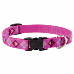 LUPINE INC Dog Collar, Adjustable, Puppy Love, 3/4 x 13 to 22 In.