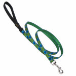 LUPINE INC Dog Leash, Tail Feather Pattern, 1/2 In. x 6 Ft.