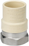 HOMEWERKS WORLDWIDE LLC CPVC Transition Adapter, Stainless Steel, 3/4 In. FIP