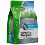 BARENBRUG USA Premium Coated Kentucky Bluegrass Seed, 7 Lbs., Covers 4,800 Sq. Ft.