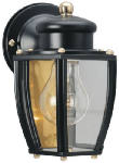 WESTINGHOUSE LIGHTING CORP Wall Lantern, Black, 100-Watt Max