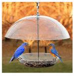WOODLINK Dome Top Seed & Bluebird Feeder, 11-3/4 Inch PET & WILDLIFE SUPPLIES WOODLINK