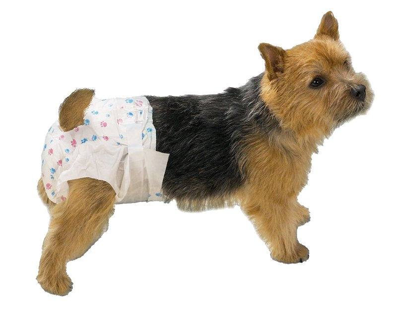 CLEAR QUEST ClearQuest US948 08 Disposable Doggy Diaper HARDWARE & FARM SUPPLIES CLEAR QUEST