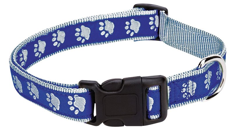 CASUAL CANINE Casual Canine ZA8871 06 19 Dog Collar, 6 to 10 in L Collar, 3/8 in W Collar, Nylon, Blue, Two Tone Paw Print