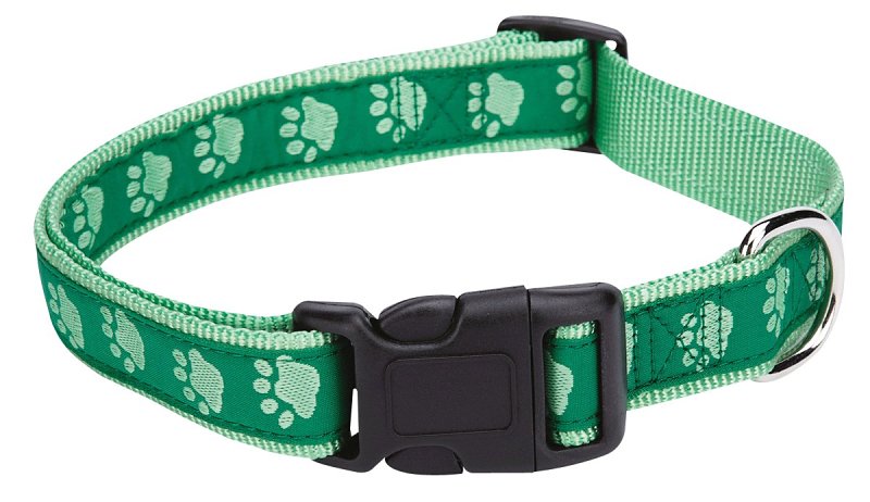 CASUAL CANINE Casual Canine ZA8871 06 43 Dog Collar, 6 to 10 in L Collar, 3/8 in W Collar, Nylon, Green