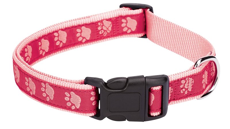 CASUAL CANINE Casual Canine ZA8871 18 75 Dog Collar, 18 to 26 in L Collar, 1 in W Collar, Nylon, Pink, Two Tone Paw Print