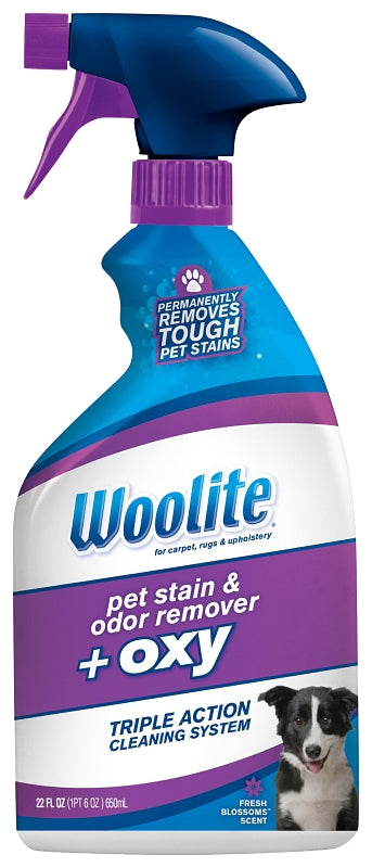 BISSELL Bissell Woolite 0890 Pet Stain and Odor Remover, Liquid, Characteristic, 22 oz, 1/PK