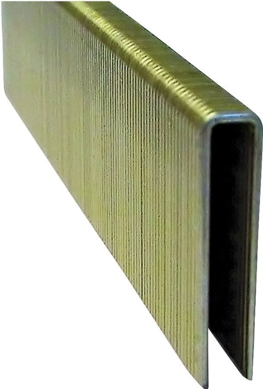 PRO-FIT ProFIT 718231 Crown Staple, 1/4 in W Crown, 1 in L Leg, 18 ga, Electro-Galvanized, 1000/PK
