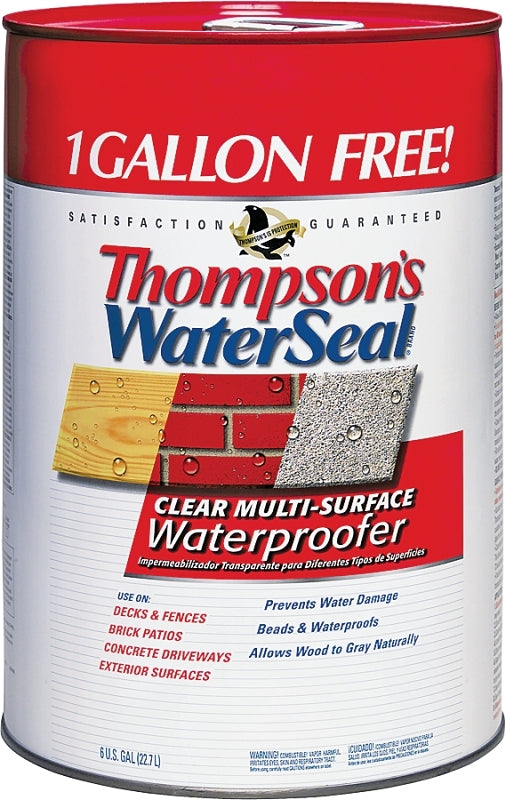 THOMPSON'S WATERSEAL Thompson's WaterSeal TH.024106-06 Waterproofer, Clear, 6 gal, Can PAINT THOMPSON'S WATERSEAL