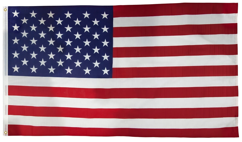 VALLEY FORGE Valley Forge US4PN USA Flag, 4 ft W, 6 ft H, Nylon