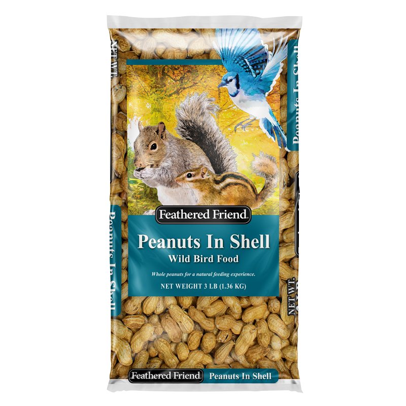 FEATHERED FRIEND Feathered Friend 14369 Shelled Peanuts Wild Bird Food, 3 lb, Bag HARDWARE & FARM SUPPLIES FEATHERED FRIEND