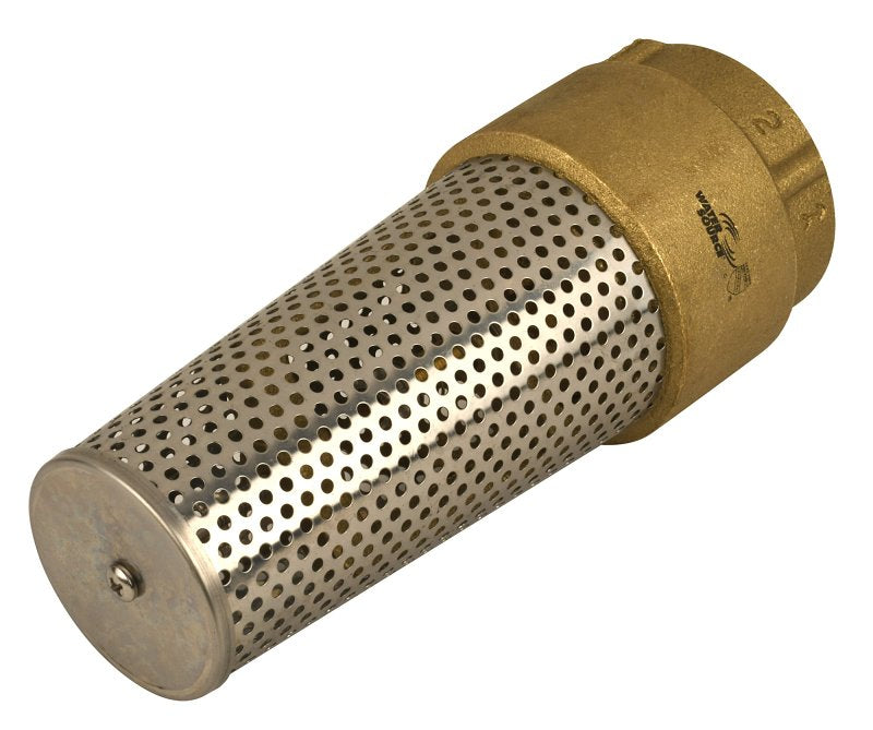 ECO-FLO Water Source TFV200NL-RM Foot Valve, 2 in Connection, FNPT, 200 psi Pressure, Brass Body