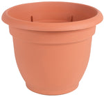 BLOEM Bloem 20-56106 Planter, 6 in Dia, 5-1/4 in H, 6-1/2 in W, Round, Plastic, Terra Cotta