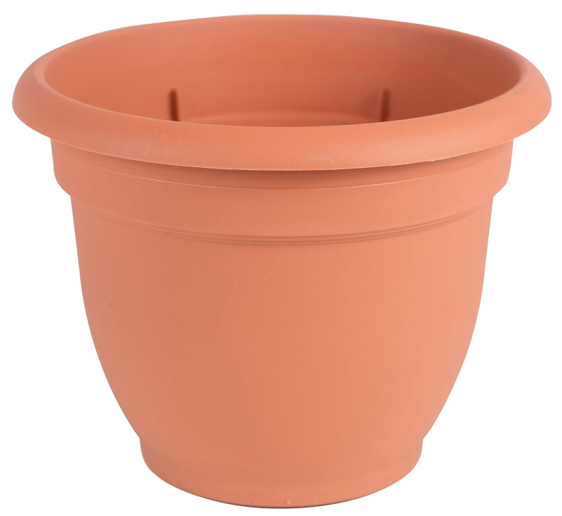 BLOEM Bloem 20-56108 Planter, 8 in Dia, 7 in H, 8-3/4 in W, Round, Plastic, Terra Cotta