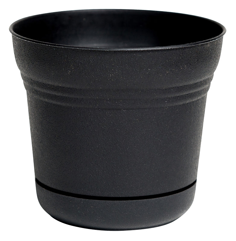 BLOEM Bloem SPO500 Planter, 4-1/2 in H, 5 in W, 5 in D, Classic Textured Design, Plastic, Black, Matte