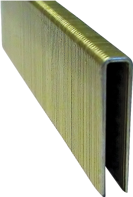 PRO-FIT ProFIT 718232 Crown Staple, 1/4 in W Crown, 1-1/4 in L Leg, 18 ga, Electro-Galvanized, 1000/PK HARDWARE & FARM SUPPLIES PRO-FIT