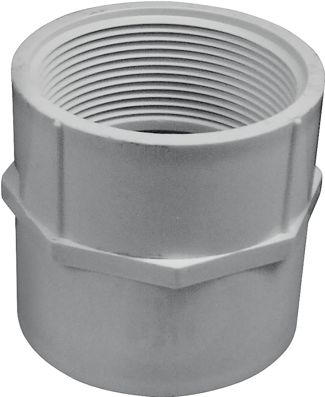 IPEX IPEX 435564 Pipe Adapter, 2 in, Socket x FPT, PVC, White, SCH 40 Schedule, 150 psi Pressure LAWN & GARDEN IPEX