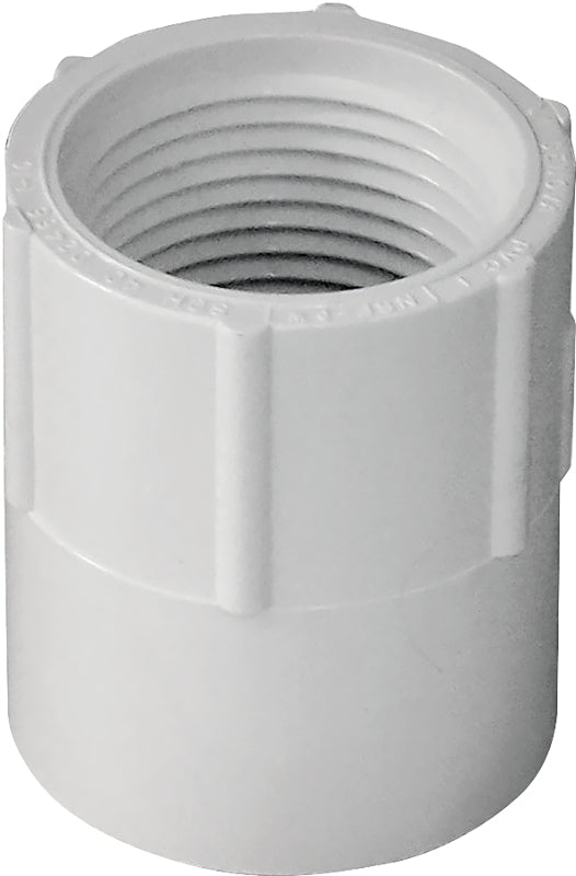 IPEX IPEX 435560 Pipe Adapter, 3/4 in, Socket x FPT, PVC, SCH 40 Schedule LAWN & GARDEN IPEX