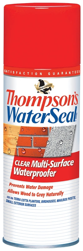 THOMPSON'S WATERSEAL Thompson's WaterSeal TH.10100-18 Waterproofer, Clear, 12 oz, Aerosol Can PAINT THOMPSON'S WATERSEAL