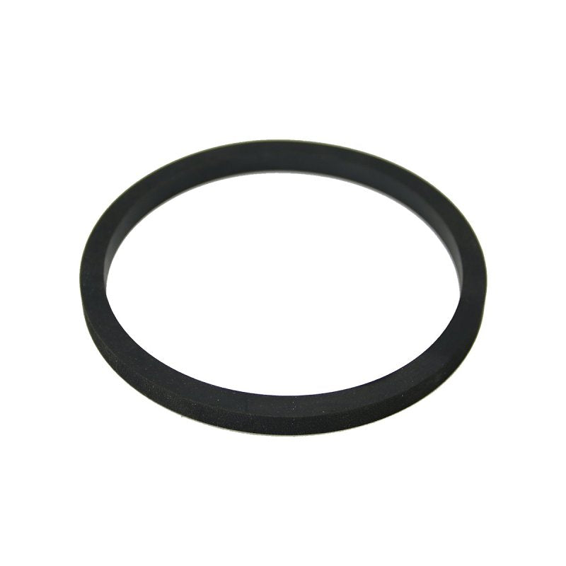 CHAPIN Chapin 6-3382 Cover Gasket, For: 301065 and 301191 Pump Rod Assembly