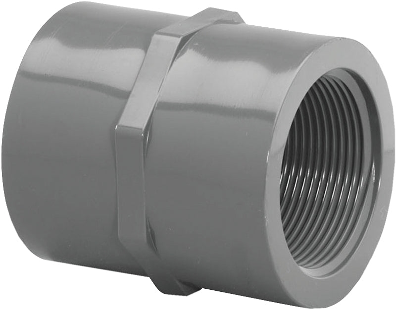 IPEX USA LLC-CANPLAS Lasco 830012BC Pipe Coupling, 1-1/4 in, FIP, PVC, SCH 80 Schedule