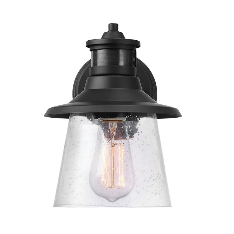 GLOBE ELECTRIC WALL SCONCE MTN SEEDED MB 9IN