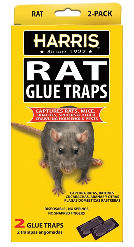 P.F. HARRIS MANUFACTURING Harris HRG-2 Pre-Baited Rat Glue Trap, Glue Locking