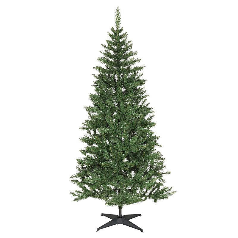 PULEO ASIA LIMITED Puleo Asia Limited 373-LTA-60R1 Tree, 6 ft H
