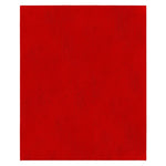 DIABLO Diablo DND911400H05G Sanding Sheet, 9 in W, 11 in L, 400 Grit, Ceramic Abrasive TOOLS DIABLO