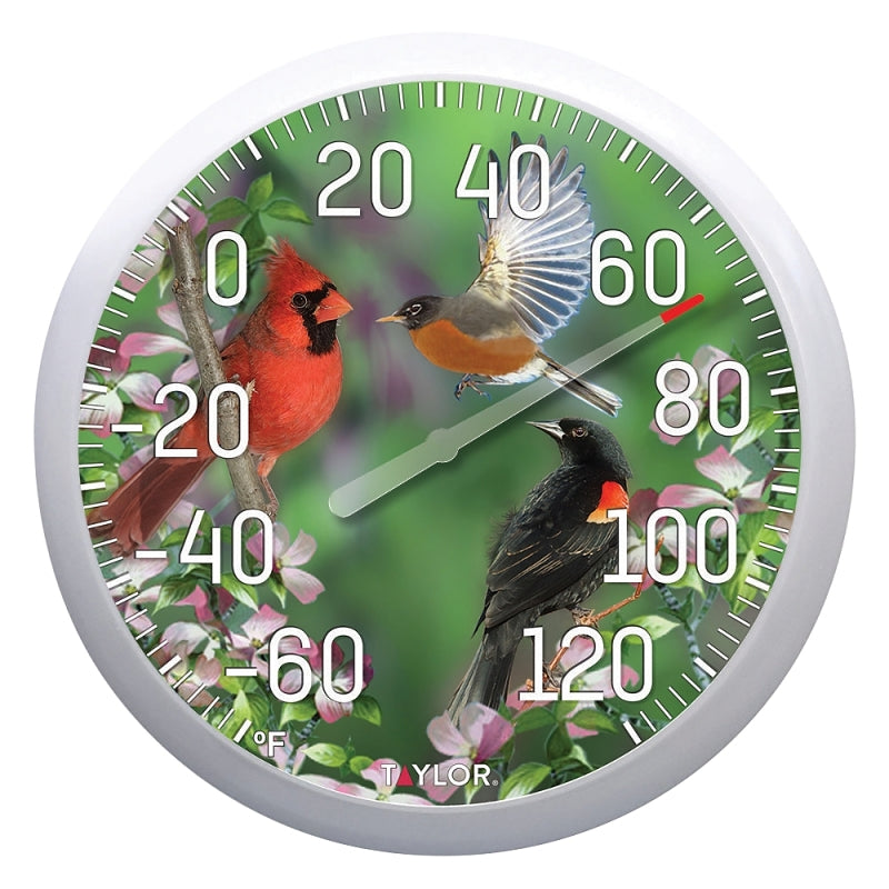 TAYLOR Taylor 6774 Bird Thermometer, Multi-Color Casing