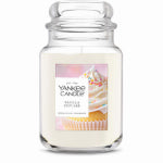 YANKEE CANDLE CO. 22OZ Van Jar Candle