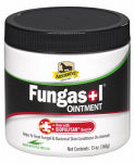 ANIMAL HEALTH INTERNATIONAL Fungasol Equine Ointment, 13-oz.