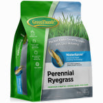 BARENBRUG USA Premium Coated Perennial Ryegrass Seed, 3 Lbs., Covers 750 Sq. Ft.