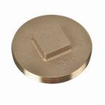 OATEY COMPANY Brass Raised Head Plug, 3 In.